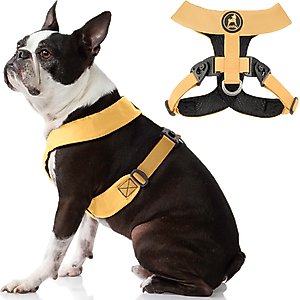 Buckle-Down Disney Pet Nightmare Before Christmas Jack Skellington Suit Plastic Buckle Polyester Dog Harness