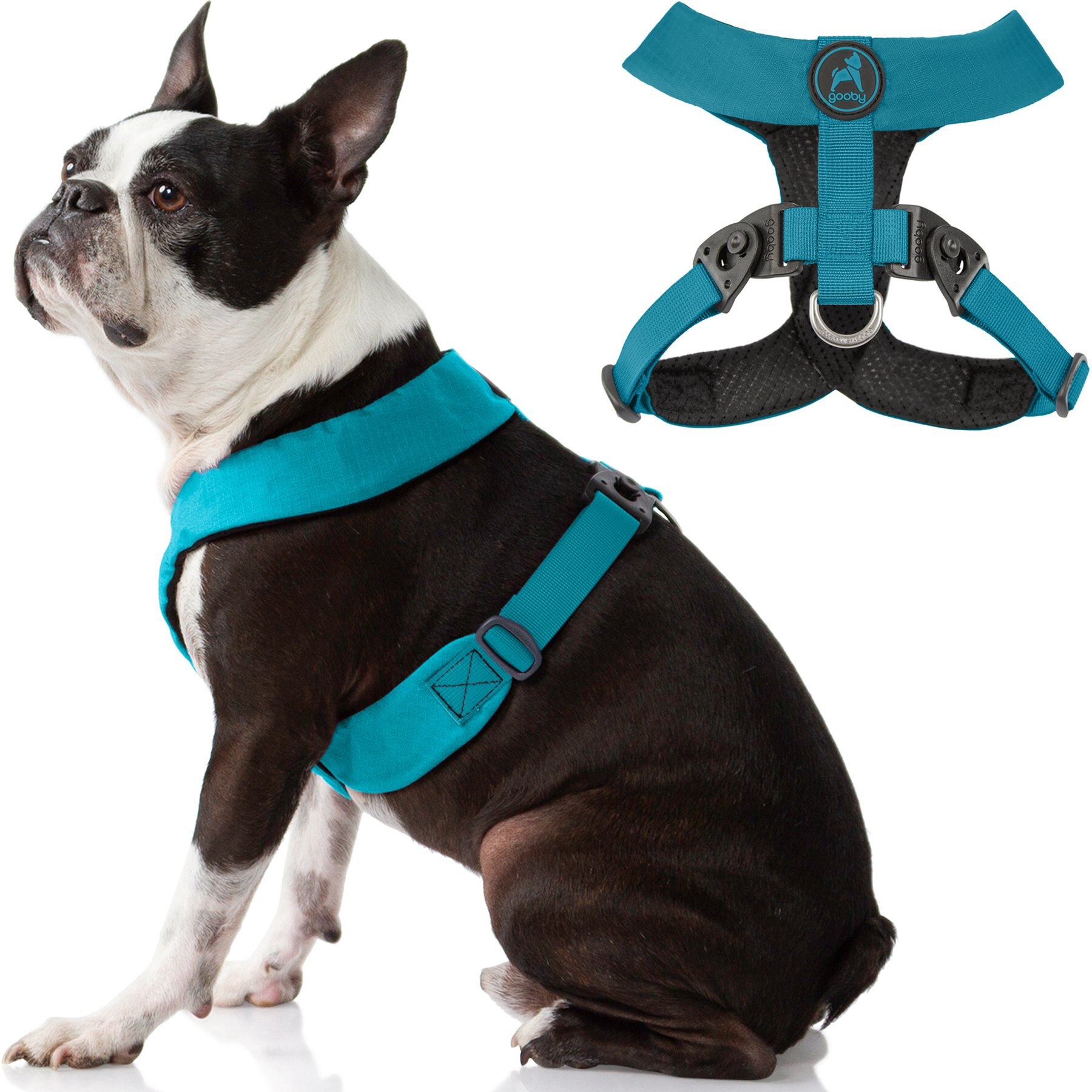 Gooby Comfort X Dual Snap Dog Harness, Turquoise, Small: 13.5 to 16.75-in chest