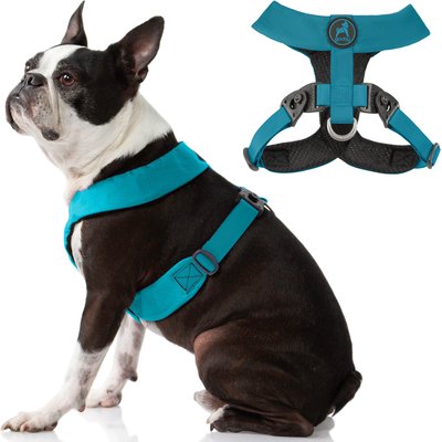 Gooby Gooby Comfort X Dual Snap Dog Harness, Turquoise, Small: 13.5 to 16.75-in chest