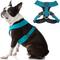 Show in main carousel: Gooby Comfort X Dual Snap Dog Harness, Turquoise, Large: 19 to 23.25-in chest slide 1 of 6