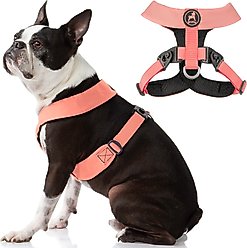 Gooby Comfort X Dual Snap Dog Harness, Pink, Large: 19 to 23.25-in chest