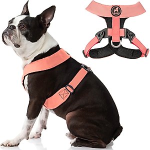 Gooby Comfort X Dual Snap Dog Harness, Pink, X-Large: 23.25 to 27-in chest