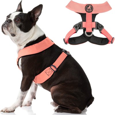 Gooby Gooby Comfort X Dual Snap Dog Harness, Pink, Large: 19 to 23.25-in chest
