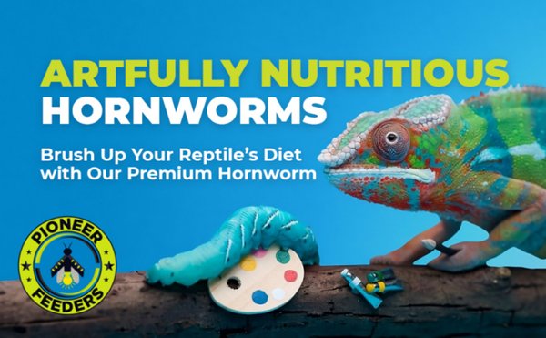 Show full view: Pioneer Feeders Hornworms Live Reptile Food, 50 count slide 2 of 7