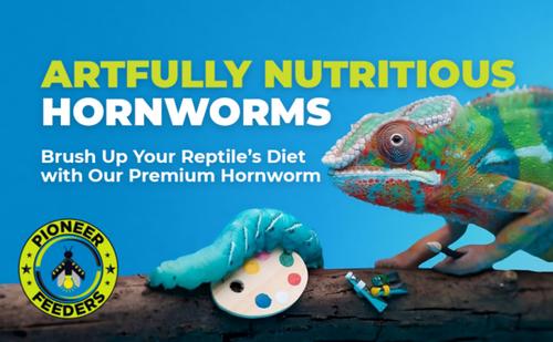 Show full view: Pioneer Feeders Hornworms Live Reptile Food, 50 count slide 2 of 8