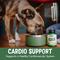 Show in main carousel: NOW Pets Cardiovascular Support Dog & Cat Supplement, 4.5-fl oz bottle slide 5 of 9