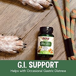 NOW Pets GI Support Dog & Cat Supplement, 90 count slide 2 of 9
