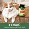 Show in main carousel: NOW Pets L-Lysine Immune System Support Cat Supplement, 8-oz jar slide 5 of 10