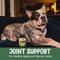 Show in main carousel: NOW Pets Joint Support Dog & Cat Supplement, 90 count slide 5 of 11