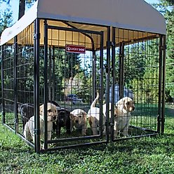 Lucky Dog STAY Series Studio Jr. Dog Kennel, Khaki slide 2 of 9