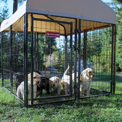 Show full view: Lucky Dog STAY Series Studio Jr. Dog Kennel, Khaki slide 9 of 9