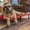 Show in main carousel: Lucky Dog Comfort Cot Elevated Dog Bed, X-Large slide 10 of 10