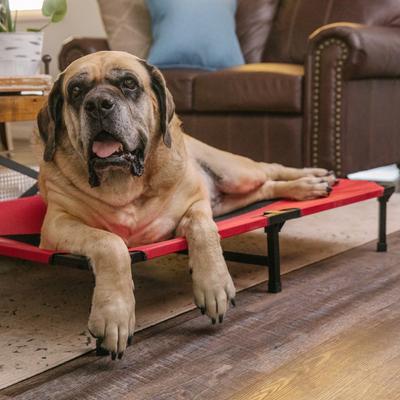 Show full view: Lucky Dog Comfort Cot Elevated Dog Bed, X-Large slide 10 of 10