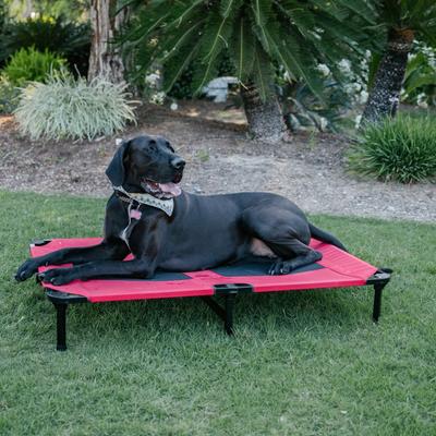Show full view: Lucky Dog Comfort Cot Elevated Dog Bed, X-Large slide 5 of 10