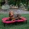 Show in main carousel: Lucky Dog Comfort Cot Elevated Dog Bed, Large slide 4 of 9