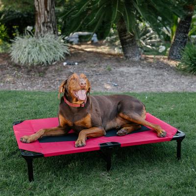 Show full view: Lucky Dog Comfort Cot Elevated Dog Bed, Large slide 4 of 9
