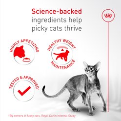 Royal Canin Fussy Adult Dry Cat Food, 7-lb bag slide 2 of 9