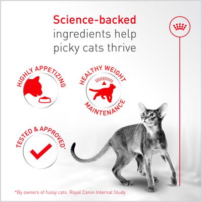 Show full view: Royal Canin Fussy Adult Dry Cat Food, 7-lb bag slide 5 of 11