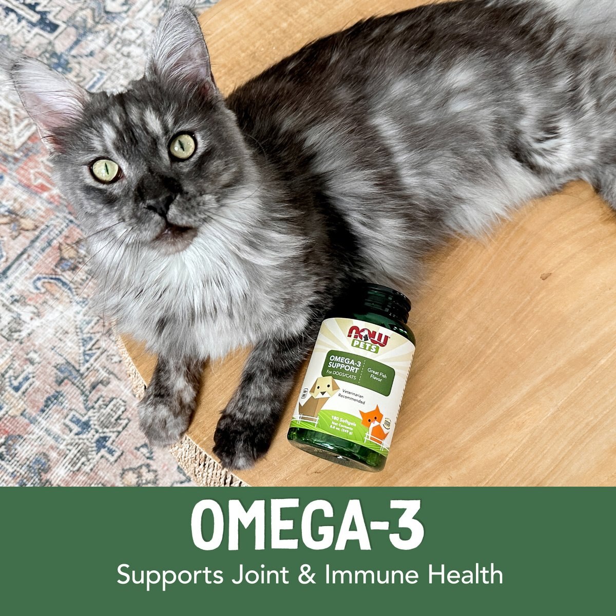 NOW Pets Omega-3 Mini Gels Dog & Cat Supplement, 150 count