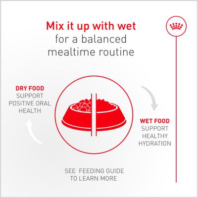 Show full view: Royal Canin Fussy Adult Dry Cat Food, 7-lb bag slide 10 of 11