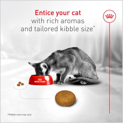 Show full view: Royal Canin Fussy Adult Dry Cat Food, 7-lb bag slide 7 of 11