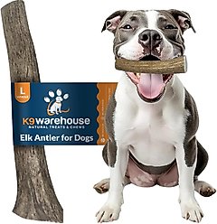 K9warehouse Elk Antlers Large Whole Dog Chew Treat