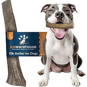 K9warehouse Elk Antlers Large Whole Dog Chew Treat