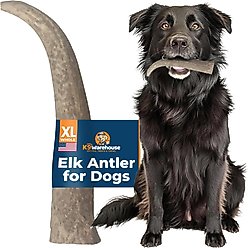 K9warehouse Elk Antlers X-Large Whole Dog Chew Treat