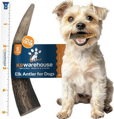 Show full view: K9warehouse Elk Antlers Small Whole Dog Chew Treat slide 1 of 6