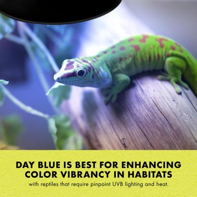 Show full view: Zilla Light & Heat Mini Halogen Bulb for Reptile Terrariums, Day Blue, 25 Watts slide 7 of 11