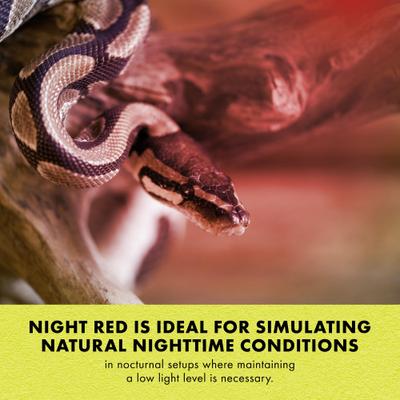 Show full view: Zilla Light & Heat Mini Halogen Bulb for Reptile Terrariums, Night Red, 25 Watts slide 7 of 11