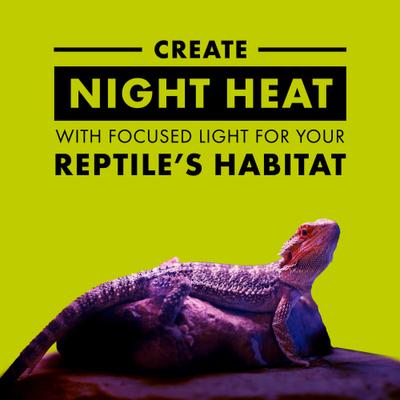 Show full view: Zilla Night Black Reptile Basking Bulb, 100-watt slide 3 of 9