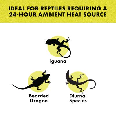 Show full view: Zilla Night Red Incandescent Reptile Basking Bulb, 100-watt slide 4 of 10