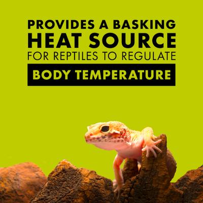 Show full view: Zilla Day White Reptile Basking Bulb, 50-watt slide 3 of 10