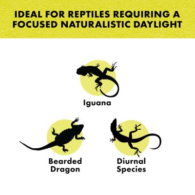 Show full view: Zilla Day White Reptile Basking Bulb, 50-watt slide 4 of 10