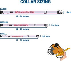 GoTags Reflective Adjustable Personalized Nameplate Dog Collar, Orange, Large: 18 to 26-in neck, 1-in wide slide 2 of 7