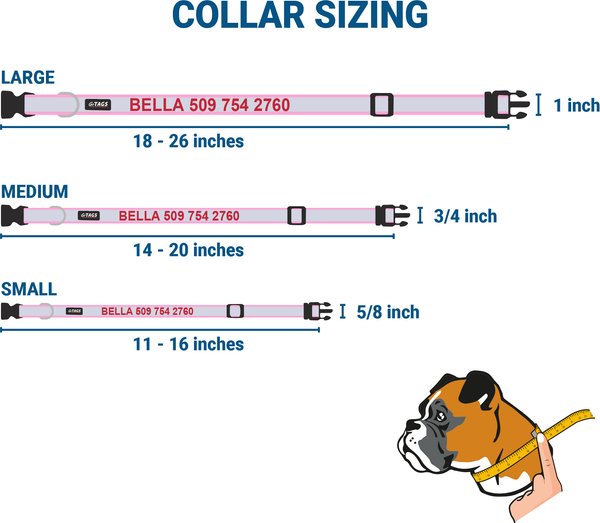 Show full view: GoTags Reflective Adjustable Personalized Nameplate Dog Collar, Pink, Medium: 14 to 20-in neck, 3/4-in wide slide 6 of 7
