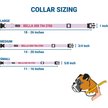 Show in main carousel: GoTags Reflective Adjustable Personalized Nameplate Dog Collar, Pink, Medium: 14 to 20-in neck, 3/4-in wide slide 6 of 7