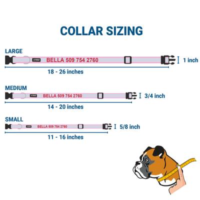 Show full view: GoTags Reflective Adjustable Personalized Nameplate Dog Collar, Orange, Small: 11 to 16-in neck, 5/8-in wide slide 6 of 8