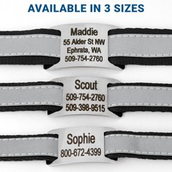 GoTags Reflective Adjustable Personalized Nameplate Dog Collar, Hunter Green, Large: 18 to 26-in neck, 1-in wide slide 2 of 7