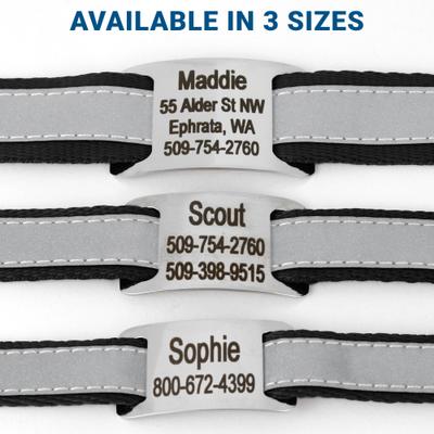 Show full view: GoTags Reflective Adjustable Personalized Nameplate Dog Collar, Orange, Small: 11 to 16-in neck, 5/8-in wide slide 5 of 8