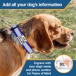 Show in main carousel: GoTags Reflective Adjustable Personalized Nameplate Dog Collar, Pink, Medium: 14 to 20-in neck, 3/4-in wide slide 7 of 7