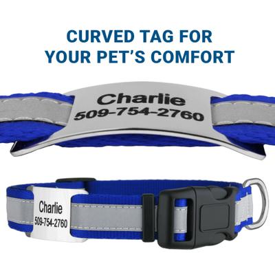 Show full view: GoTags Reflective Adjustable Personalized Nameplate Dog Collar, Orange, Small: 11 to 16-in neck, 5/8-in wide slide 2 of 8