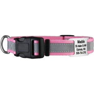 GoTags Reflective Adjustable Personalized Nameplate Dog Collar, Pink, Medium: 14 to 20-in neck, 3/4-in wide