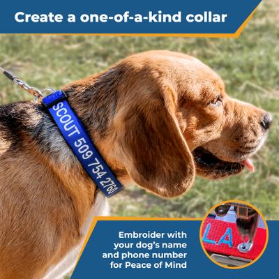 Show full view: GoTags Nylon Personalized Dog Collar, Charcoal, Small: 11 to 16-in neck, 5/8-in wide slide 3 of 8