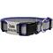 Show in main carousel: GoTags Reflective Adjustable Personalized Nameplate Dog Collar, Lavender, Medium: 14 to 20-in neck, 3/4-in wide slide 1 of 9