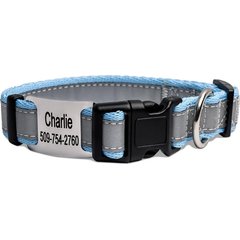 GoTags Reflective Adjustable Personalized Nameplate Dog Collar, Light Blue, Small: 11 to 16-in neck, 5/8-in wide