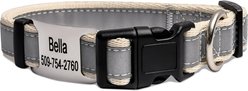 GoTags Reflective Adjustable Personalized Nameplate Dog Collar, Beige, Large: 18 to 26-in neck, 1-in wide