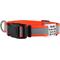 Show in main carousel: GoTags Reflective Adjustable Personalized Nameplate Dog Collar, Orange, Small: 11 to 16-in neck, 5/8-in wide slide 1 of 8
