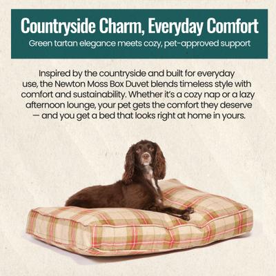 Show full view: DANISH DESIGN Newton Moss Box Duvet Dog & Cat Bed, Moss, Medium slide 5 of 7